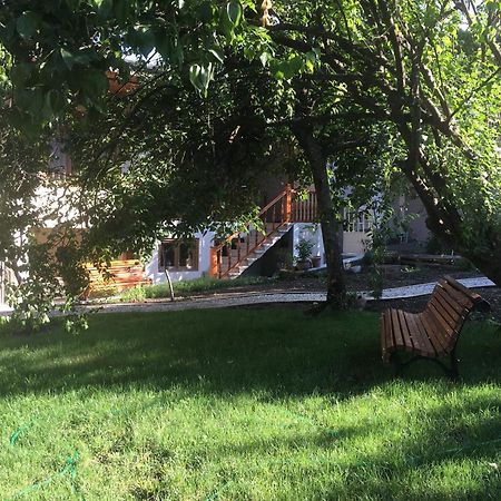 Guest House Kartuli Suli 텔라비 외부 사진