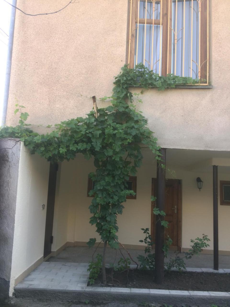 Guest House Kartuli Suli 텔라비 외부 사진